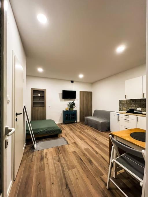 Studio Apartment Joanna Rijeka Exterior photo