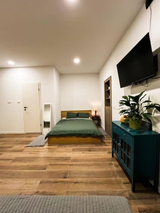 Studio Apartment Joanna Rijeka Exterior photo